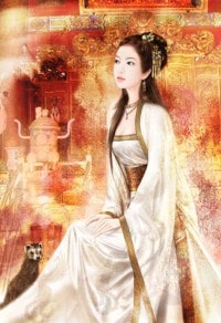 超品农婿免费