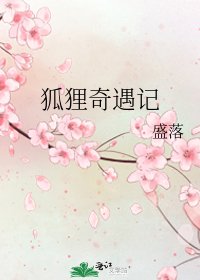狐狸奇遇记